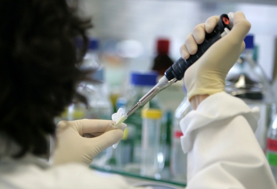 Новосибирские ученые создали вирусы против рака